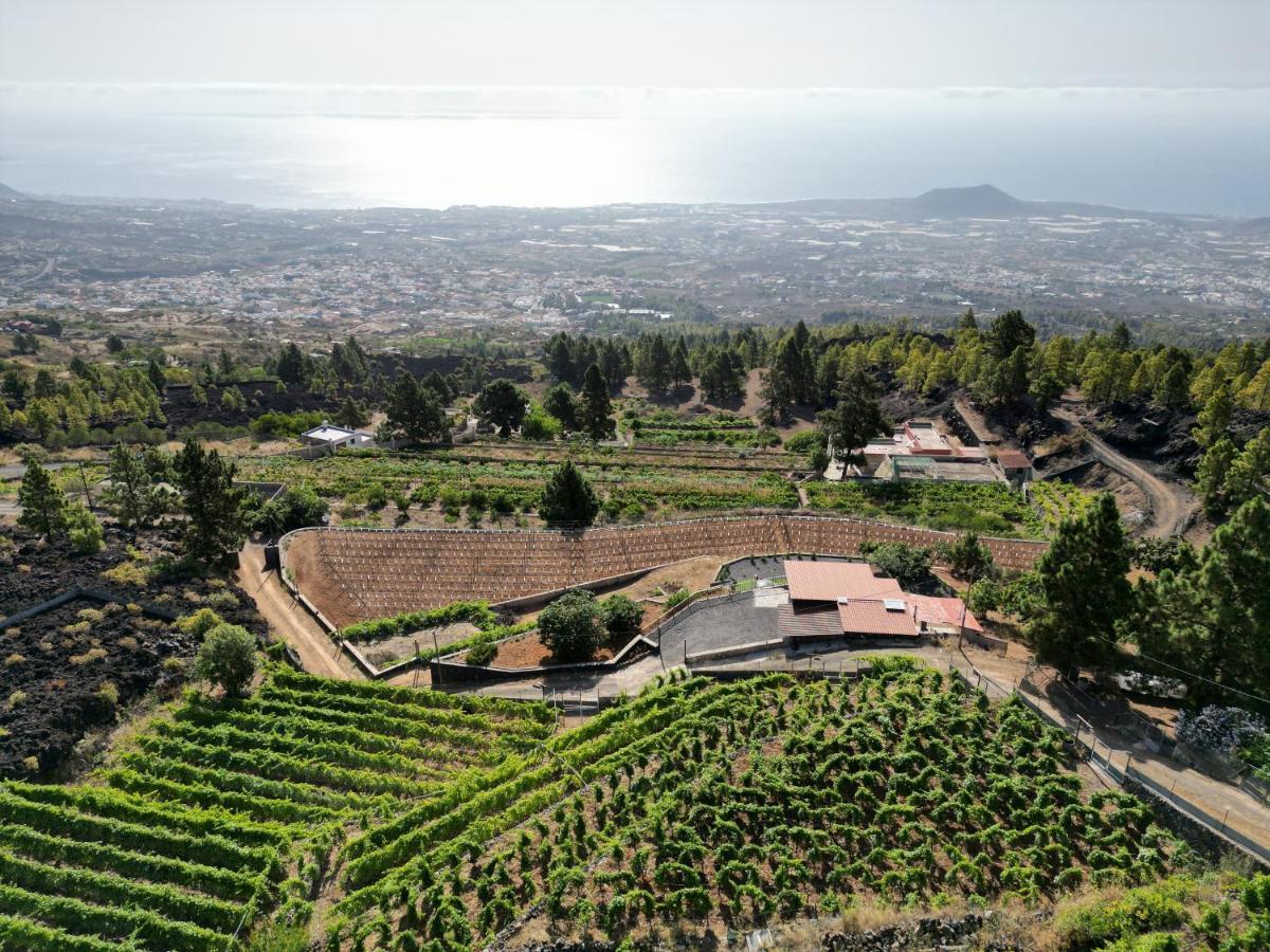 Finca Ecologica Ferrera. Alojamiento Rural. Arafo Exteriér fotografie